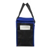 “Super Frosty” Insulated Food Delivery Bag – Lunch Size Tote