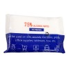 Disinfectant Wipes 10 Pack